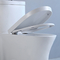 Jednoczęściowa toaleta All-In-One o wysokiej wydajności 1,1 Gpf / 1,6 Gpf z podwójnym spłukiwaniem w kolorze białym