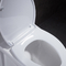 Wydłużona jednoczęściowa toaleta syfonowa 10 Szorstkie szczelne miękkie zamykanie