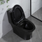 Komfortowa, jednoczęściowa, wydłużona toaleta z podwójnym spłukiwaniem i listwą trapezową